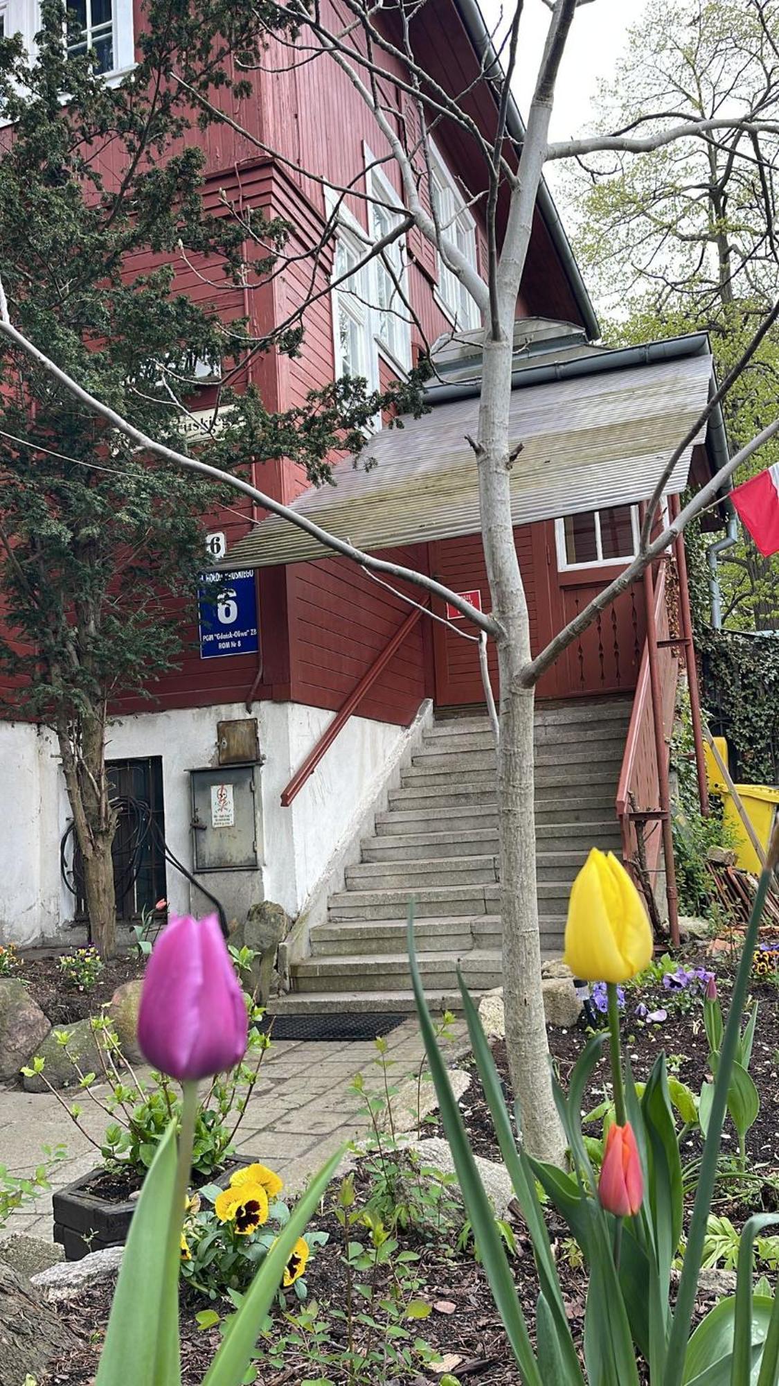 Villa Rekin Gdansk Luaran gambar